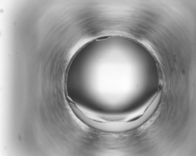 X0000088621438200706221444