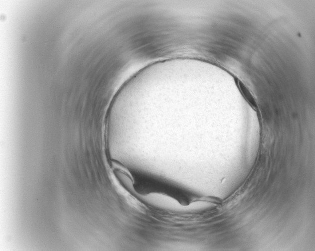 X0000088621439200706221444