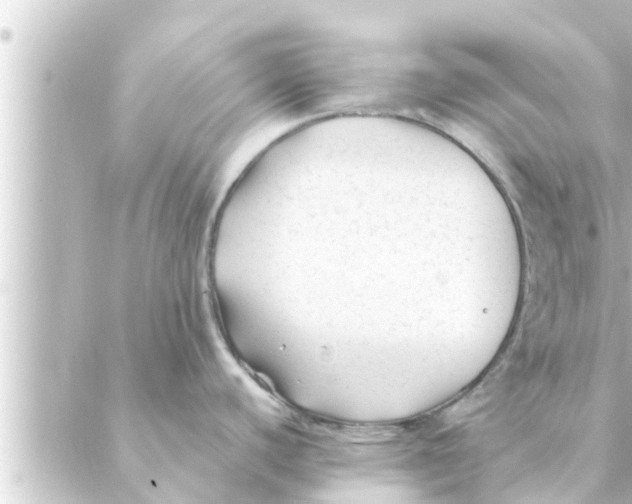 X0000088621440200706221444