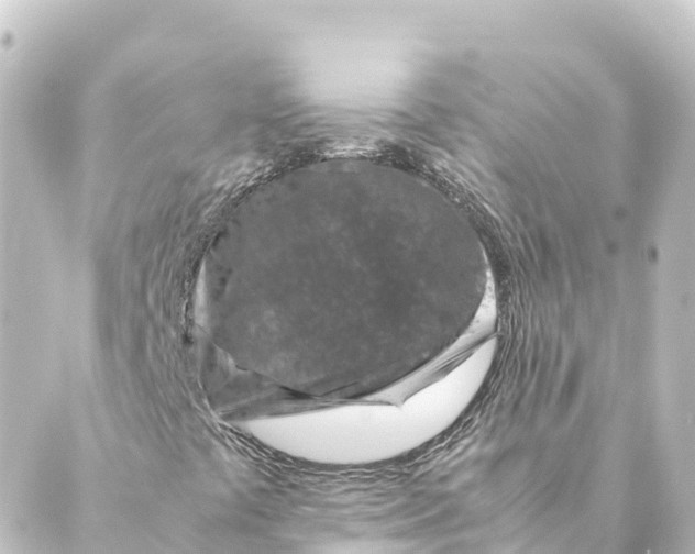 X0000088621441200706221444