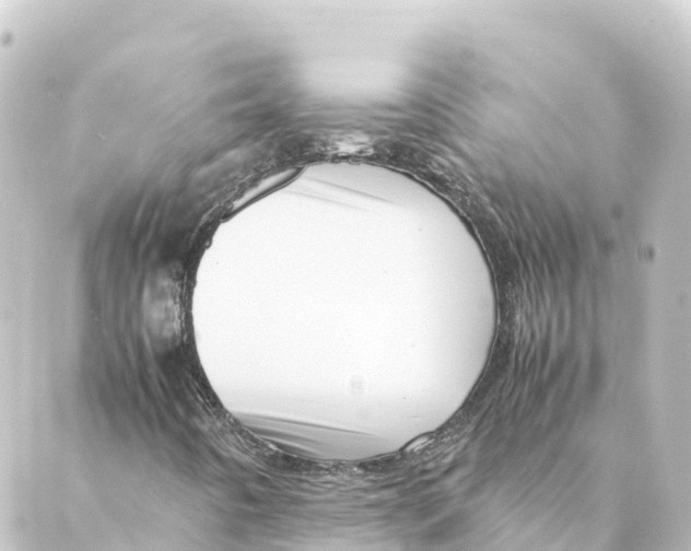 X0000088621442200706221444