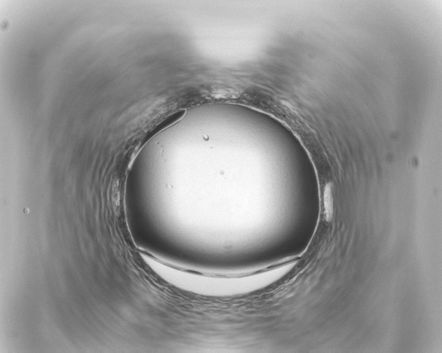 X0000088621443200706221444