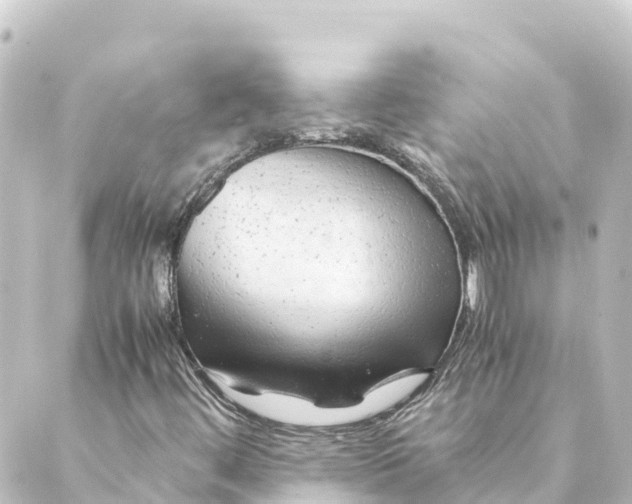 X0000088621444200706221444