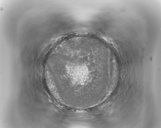 X0000088621445200706221444