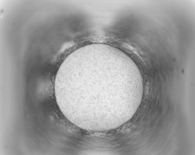 X0000088621446200706221444