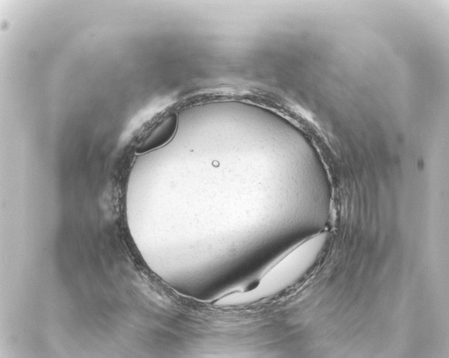 X0000088621448200706221443