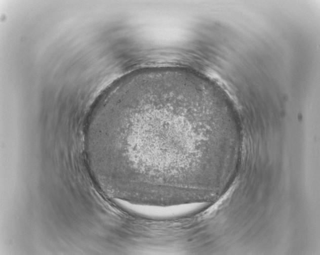 X0000088621449200706221443