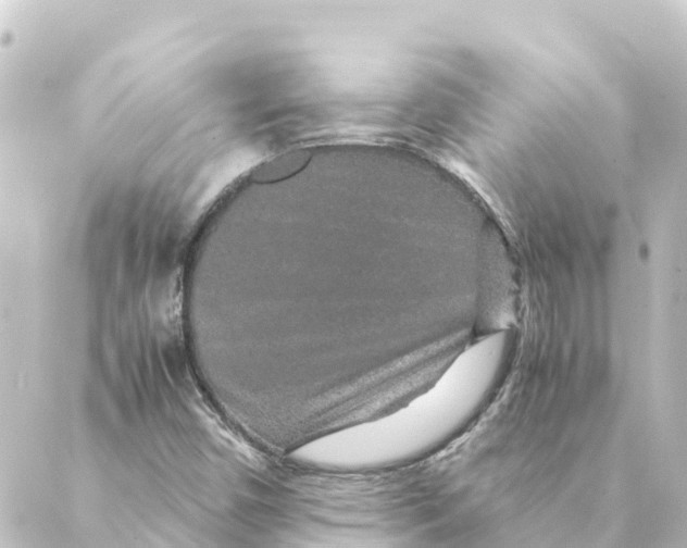 X0000088621450200706221443