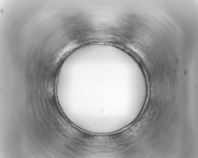 X0000088621451200706221443