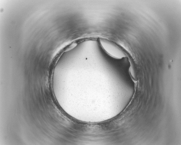 X0000088621452200706221443