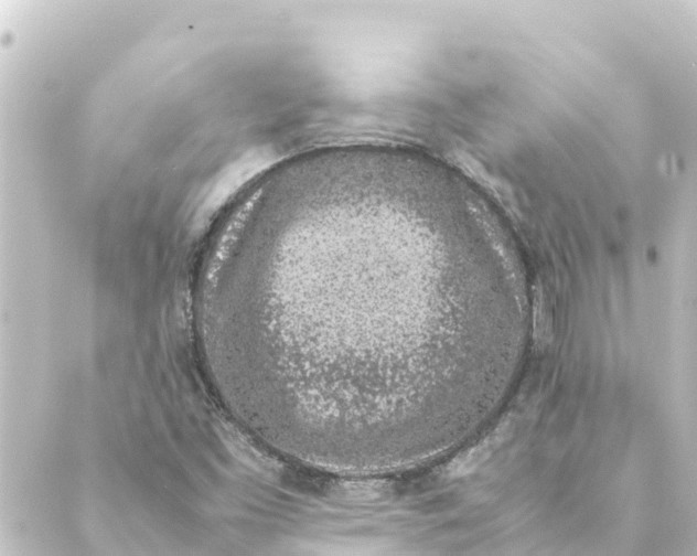 X0000088621453200706221443