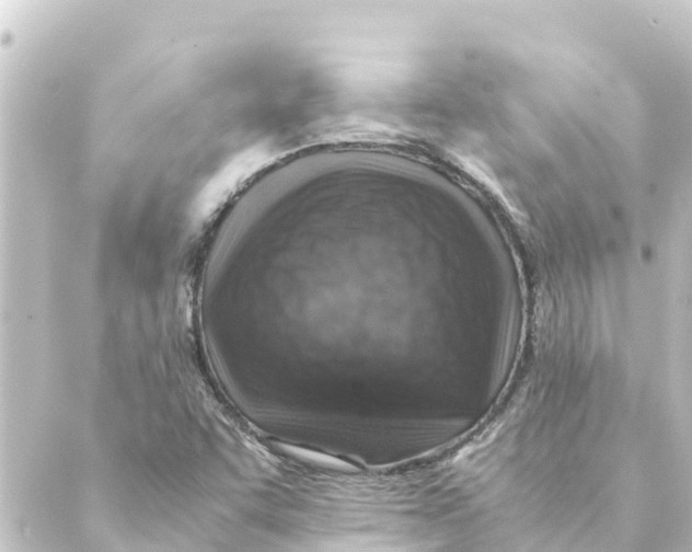 X0000088621455200706221443