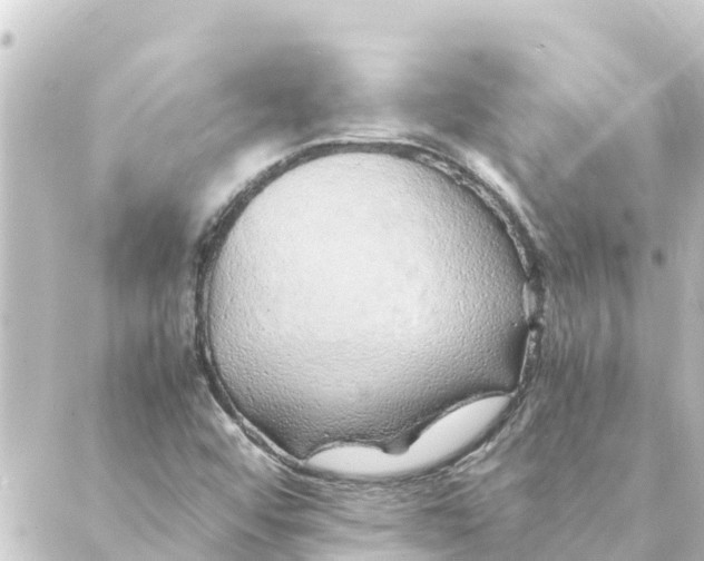 X0000088621456200706221443