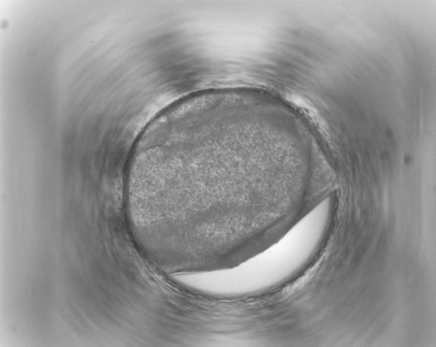 X0000088621457200706221443