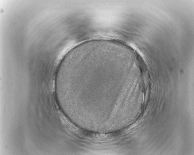 X0000088621459200706221443