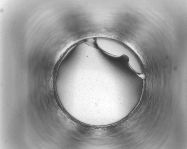 X0000088621460200706221443