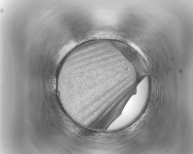 X0000088621461200706221443