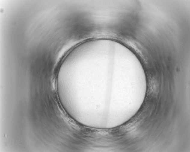 X0000088621462200706221443