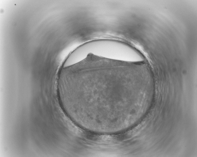 X0000088621463200706221443