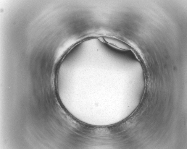 X0000088621464200706221443