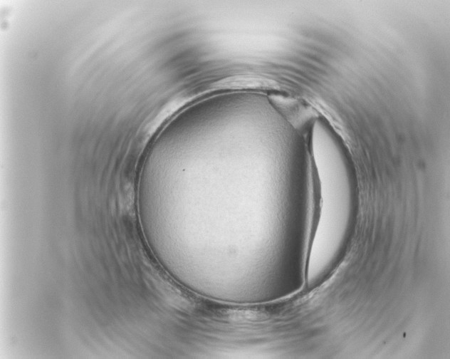 X0000088621465200706221443