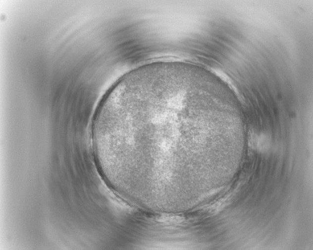 X0000088621466200706221443