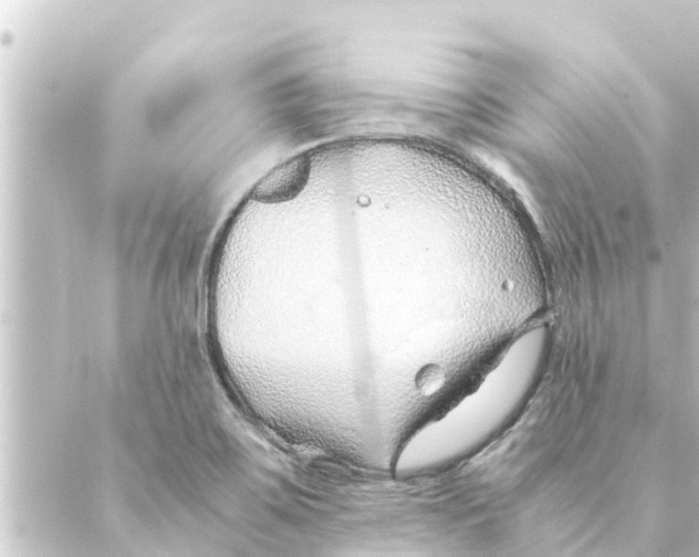 X0000088621467200706221443