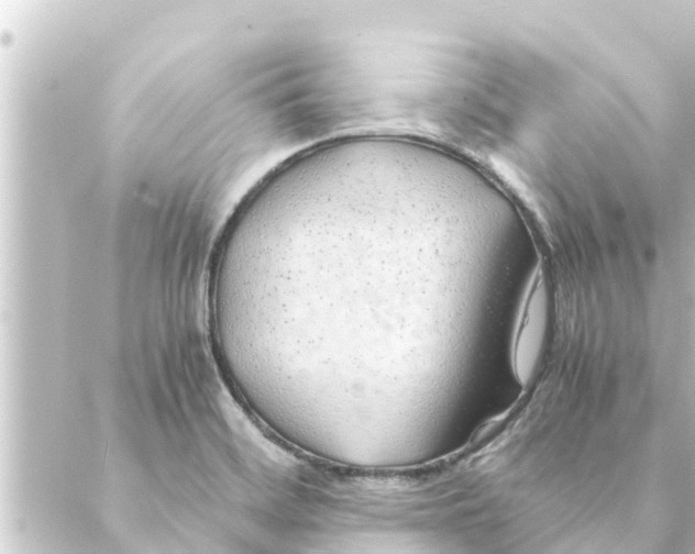 X0000088621468200706221443