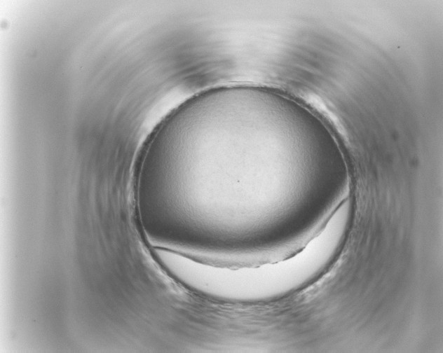 X0000088621469200706221443