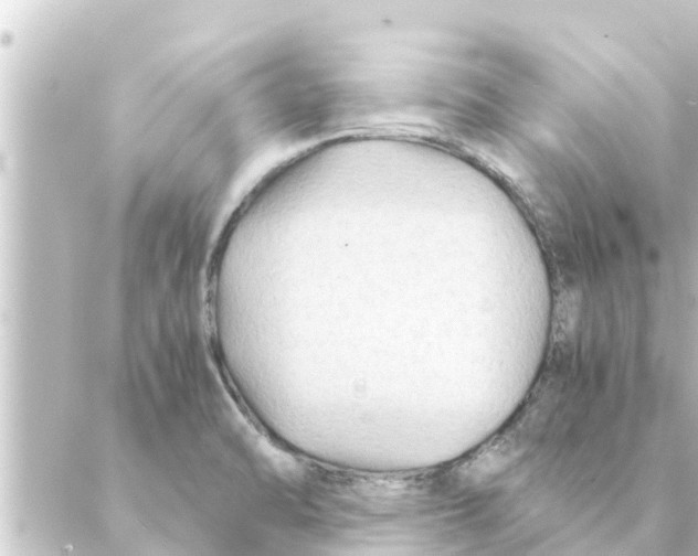 X0000088621470200706221443