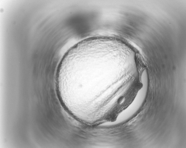 X0000088621471200706221443