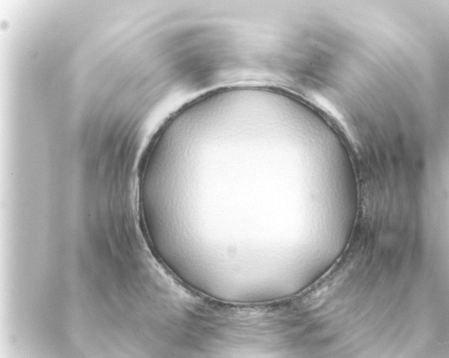 X0000088621472200706221443