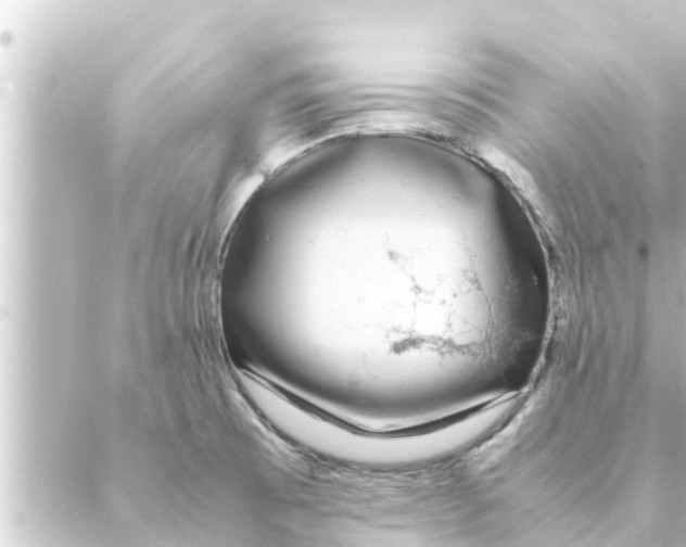 X0000088621473200706221443