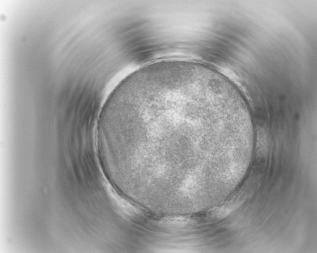 X0000088621474200706221443