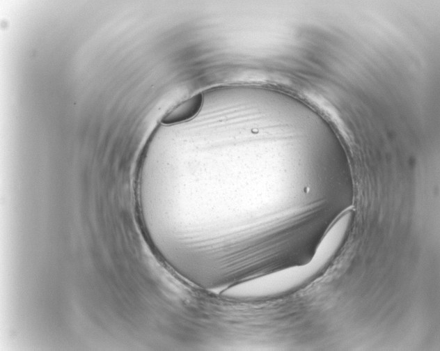 X0000088621475200706221443