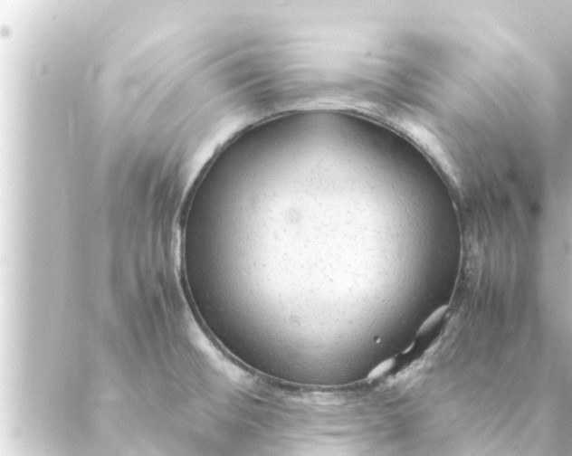 X0000088621476200706221443