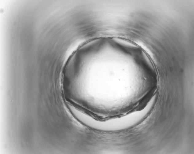 X0000088621477200706221443