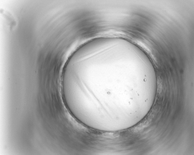 X0000088621478200706221443