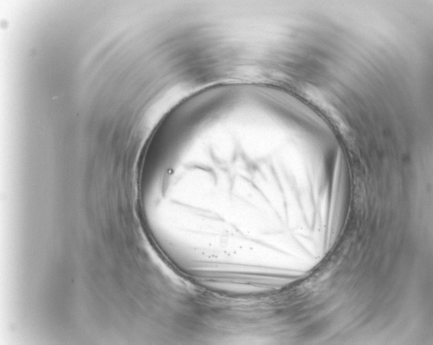 X0000088621479200706221443