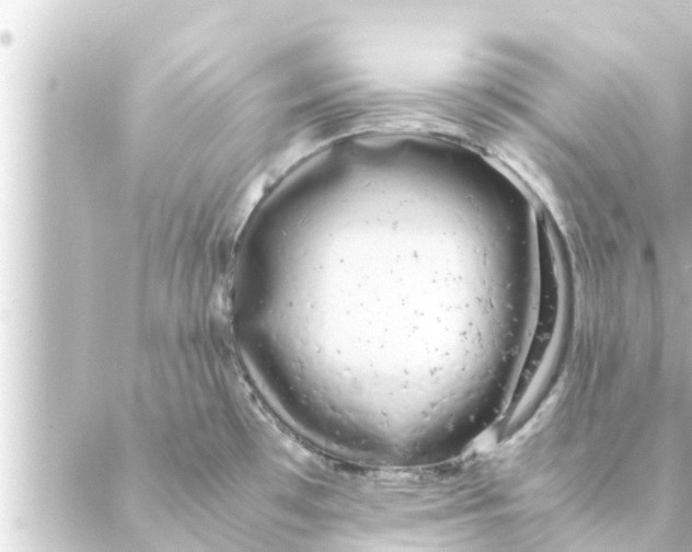 X0000088621481200706221443