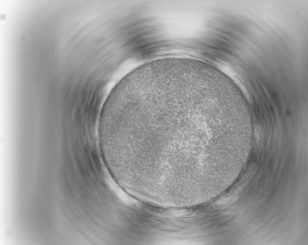 X0000088621482200706221443