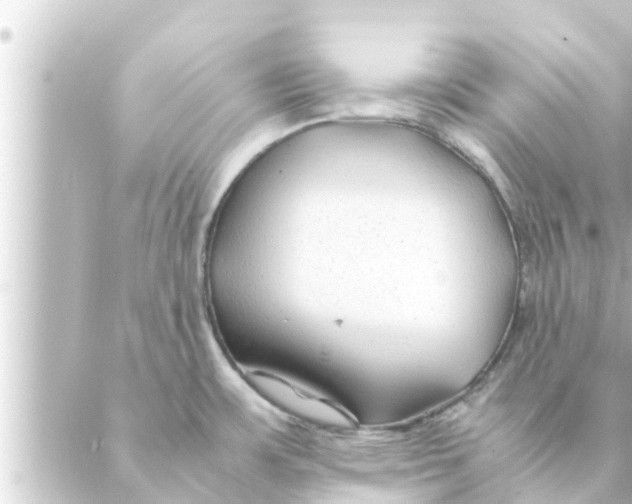 X0000088621483200706221443