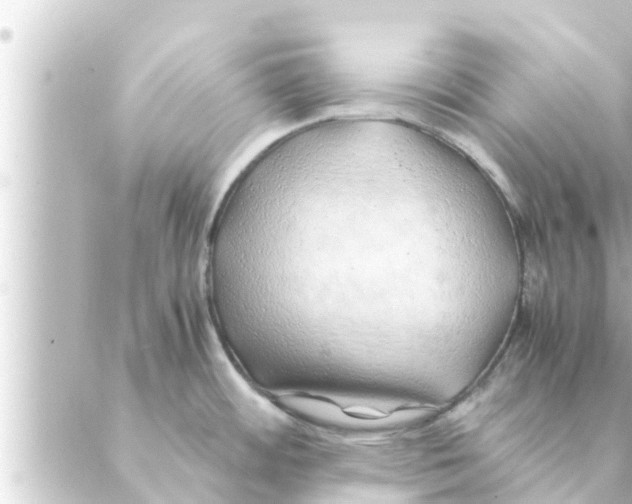 X0000088621484200706221443