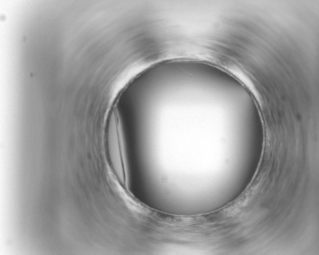 X0000088621485200706221443