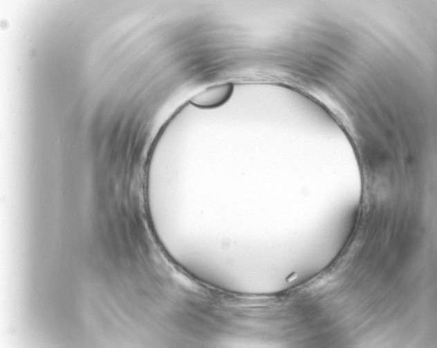 X0000088621486200706221443