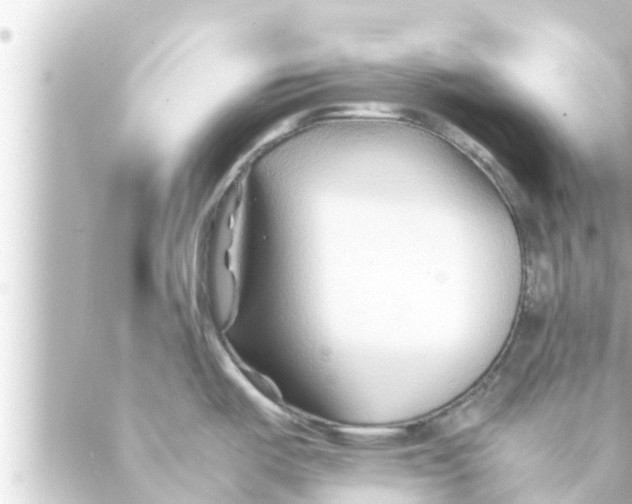 X0000088621487200706221443