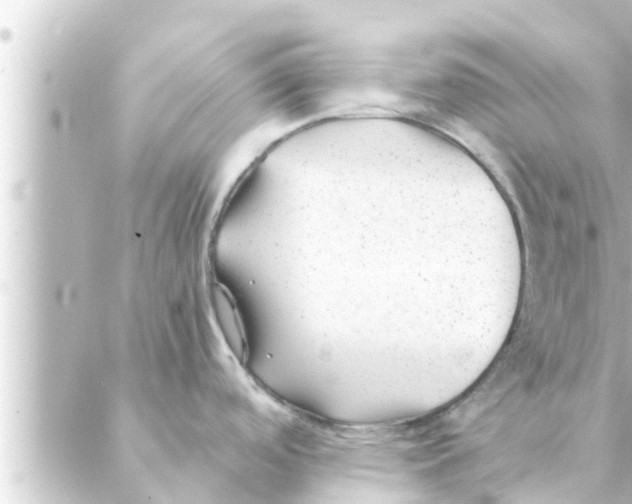 X0000088621488200706221443