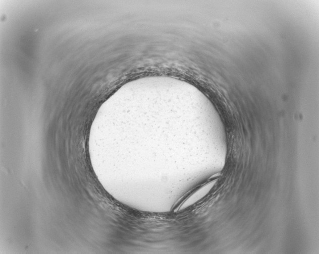 X0000088621489200706221442