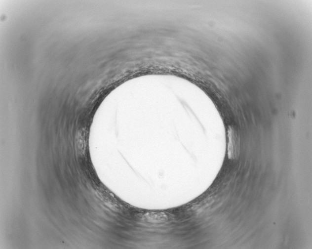 X0000088621491200706221442