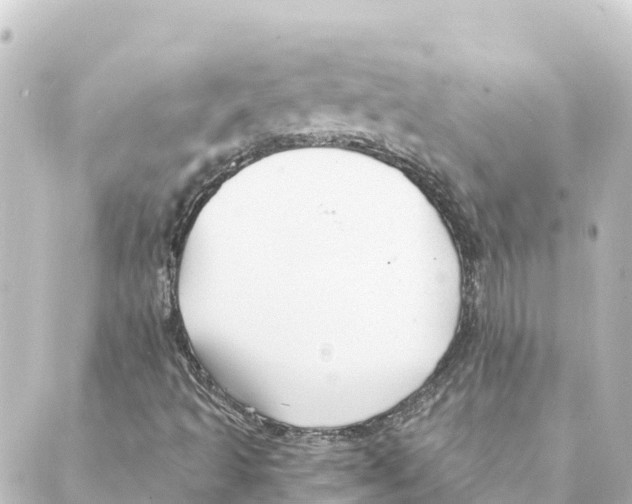 X0000088621493200706221442